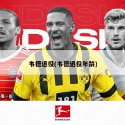 韦德退役(韦德退役年龄)