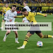 羽毛球混双比赛视频(羽毛球混双比赛视频完整版免费观看)