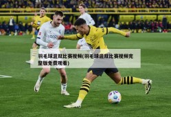 羽毛球混双比赛视频(羽毛球混双比赛视频完整版免费观看)