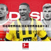 羽毛球世界排名(羽毛球世界排名前十名)