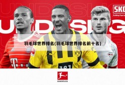 羽毛球世界排名(羽毛球世界排名前十名)