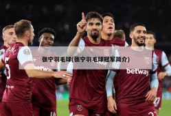 张宁羽毛球(张宁羽毛球冠军简介)