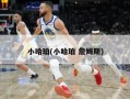 小哈珀(小哈珀 詹姆斯)