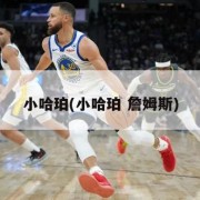 小哈珀(小哈珀 詹姆斯)