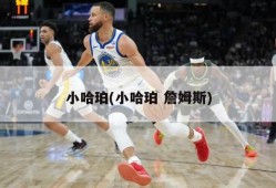 小哈珀(小哈珀 詹姆斯)