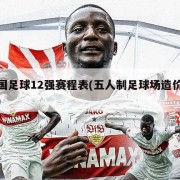 中国足球12强赛程表(五人制足球场造价预算)