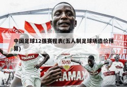 中国足球12强赛程表(五人制足球场造价预算)