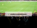 冰岛球队(冰岛球队是业余的吗)