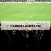 冰岛球队(冰岛球队是业余的吗)