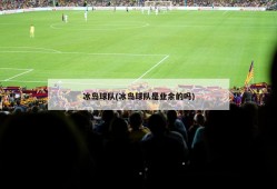 冰岛球队(冰岛球队是业余的吗)