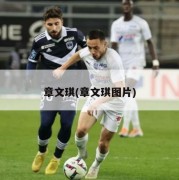 章文琪(章文琪图片)