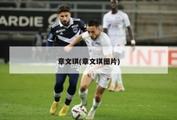 章文琪(章文琪图片)